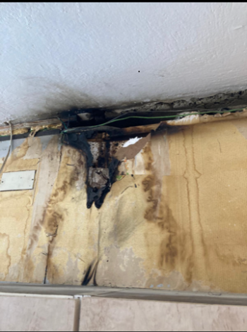 Kontrola elektrických rozvodů a jejich revize v bytových domech